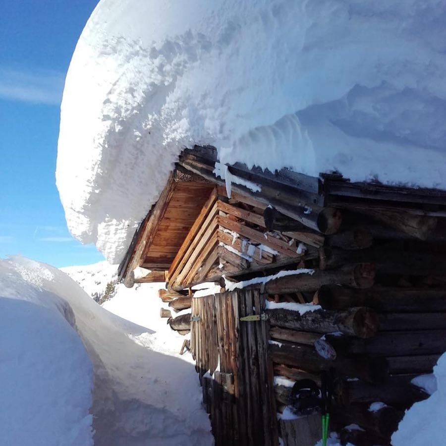 Alpin Apart Flachau Exteriör bild
